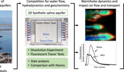 Visualizing and evaluating wormholes formation dynamics under flow competition in an intermediate-scale dissolution experiment.