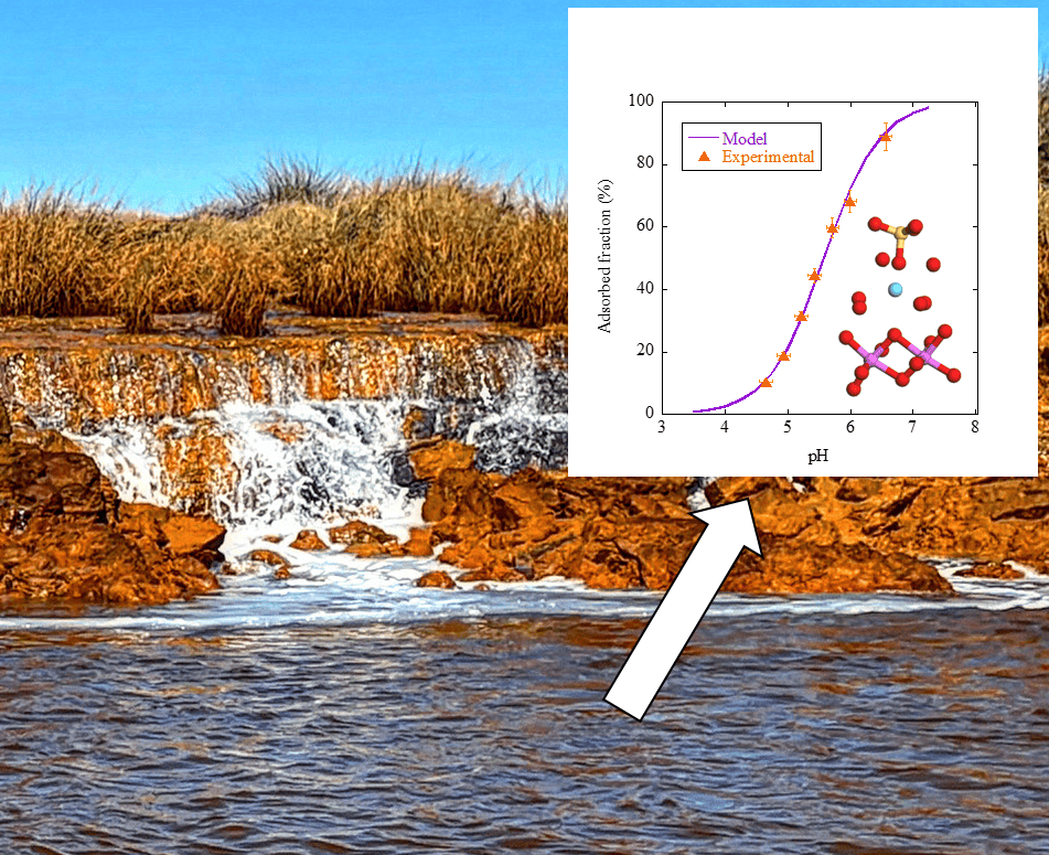 Adsorption of REE on Al- and Fe- oxyhydroxysulphates under the conditions of the AMD-impacted estuary of Huelva
