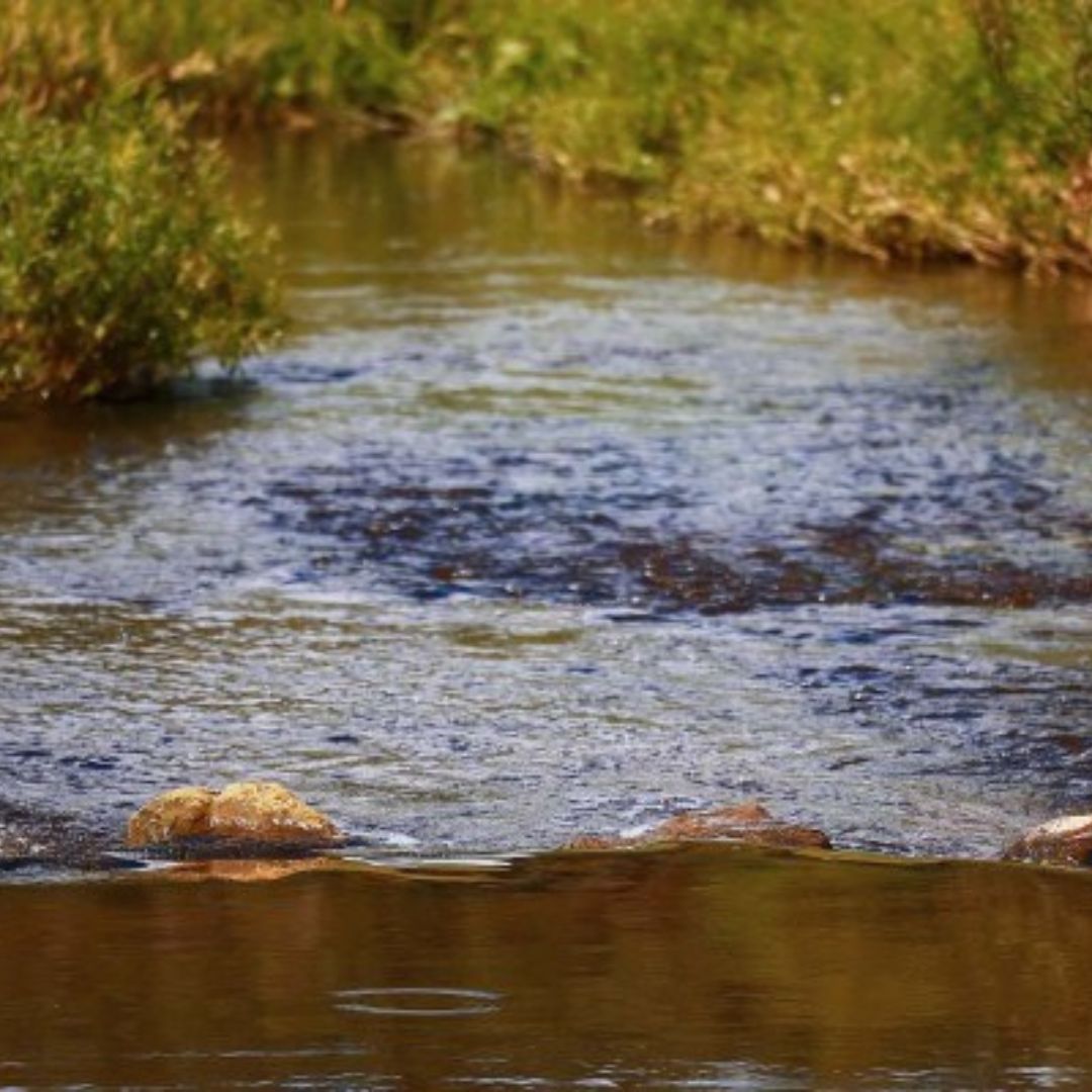 Advances in hydrological model predictions and model identification in ungauged catchments.