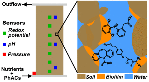 Role of Soil Biofilms in Clogging and Fate of Pharmaceuticals: A Laboratory-Scale Column Experiment.