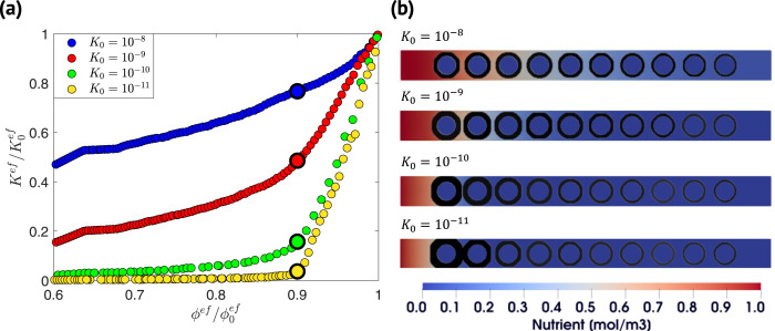 BioReactPy: An open-source software for simulation of microbial-mediated reactive processes in porous media