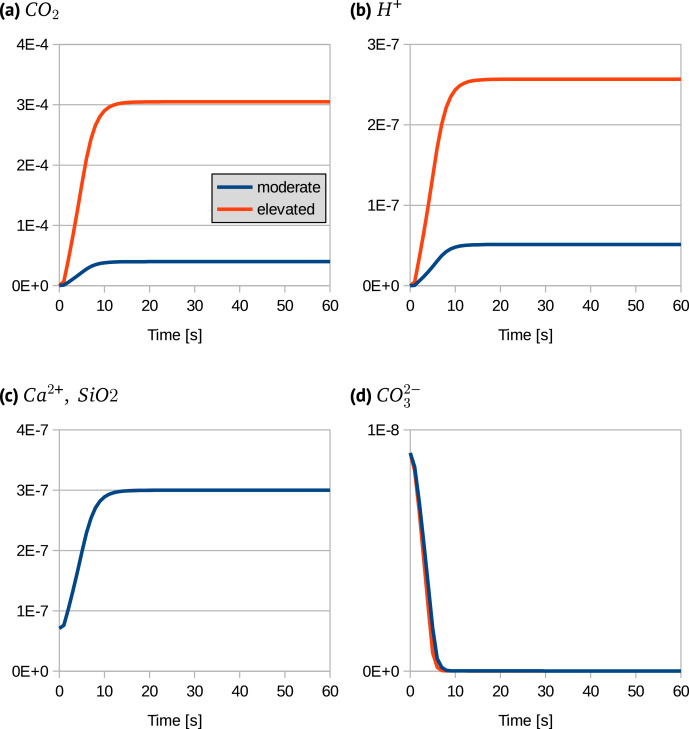 Pore-scale modelling of subsurface biomineralization for carbon mineral storage.