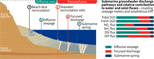 Combining seepage meters and amphibious electric resistivity tomography to investigate pathways of submarine groundwater discharge.