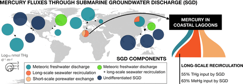 Unveiling Hidden Mercury and Methylmercury Sources: The Role of Submarine Groundwater Discharge in Coastal Lagoons