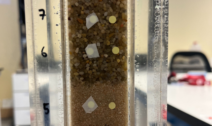 Investigación experimental y modelación del crecimiento de Biofilms (Conmimo)